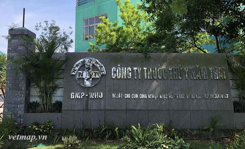 Top 10 công ty thuốc thú y tại Hà Nội. 3 Cty TNHH Thuốc Thú Y Năm Thái