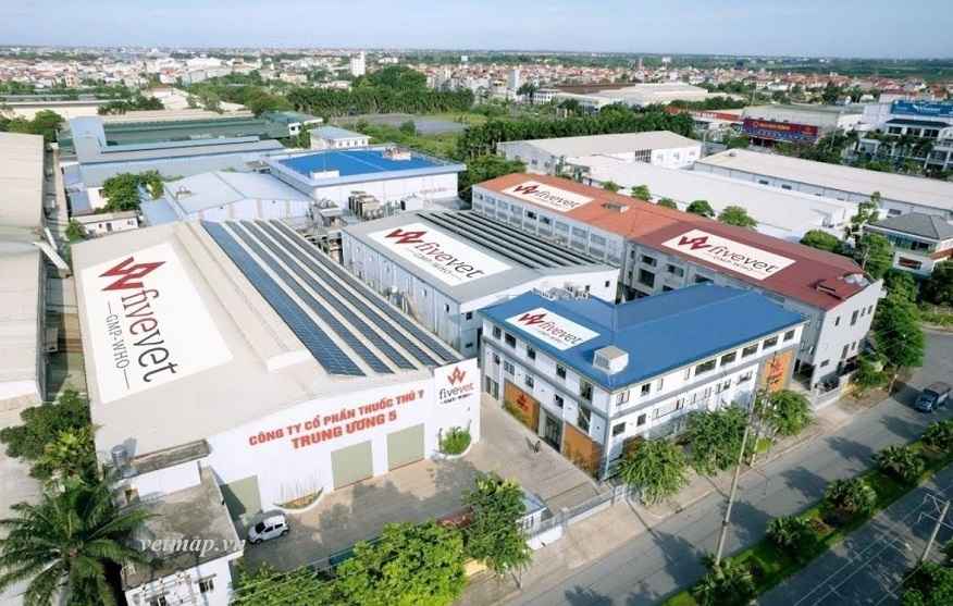 Xu hướng thị trường thuốc thú y Việt Nam 2025 3 Công ty Cổ phần Thuốc Thú Y Trung Ương 5 (Fivevet)